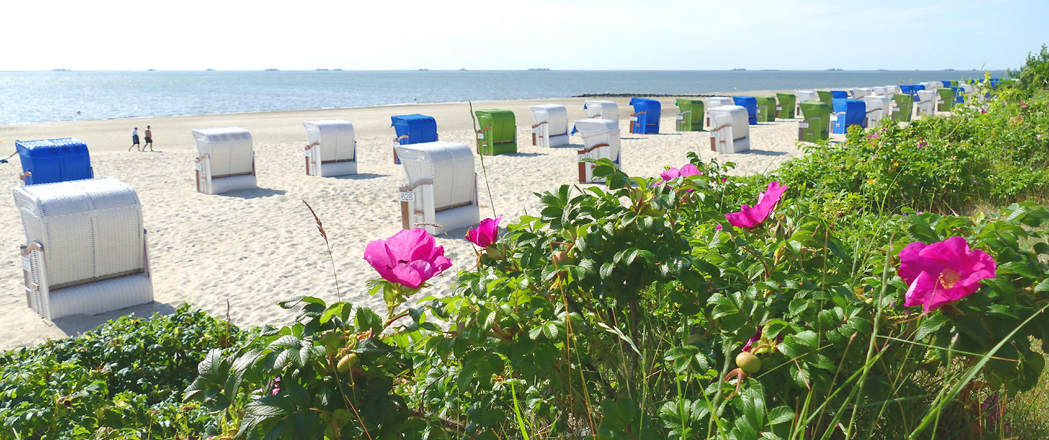 Hotel-Friesenhof-Nieblum-Foehr Zimmer Rooms Garni Strand Meer Strandkoerbe Nordsee