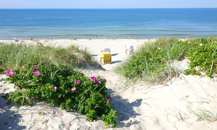 Hotel-Friesenhof Nieblum Insel Foehr Nieblumer Strand Nordsee