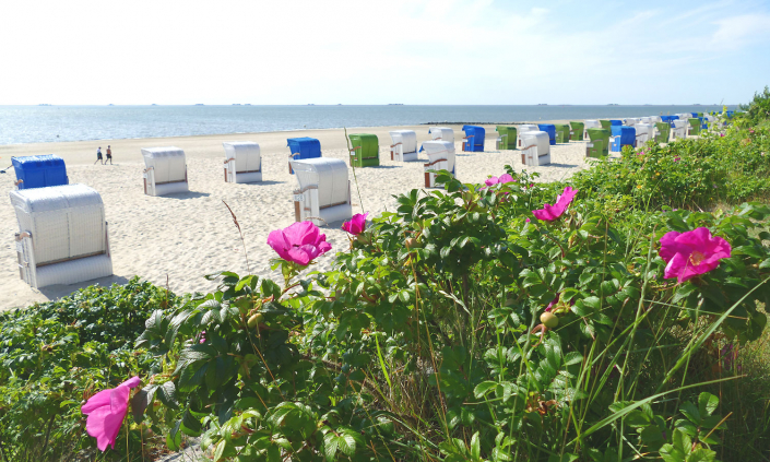 Hotel-Friesenhof Nieblum Insel Foehr Suedstrand Wyk Strand